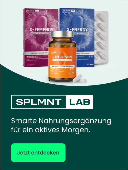 Bannerbild